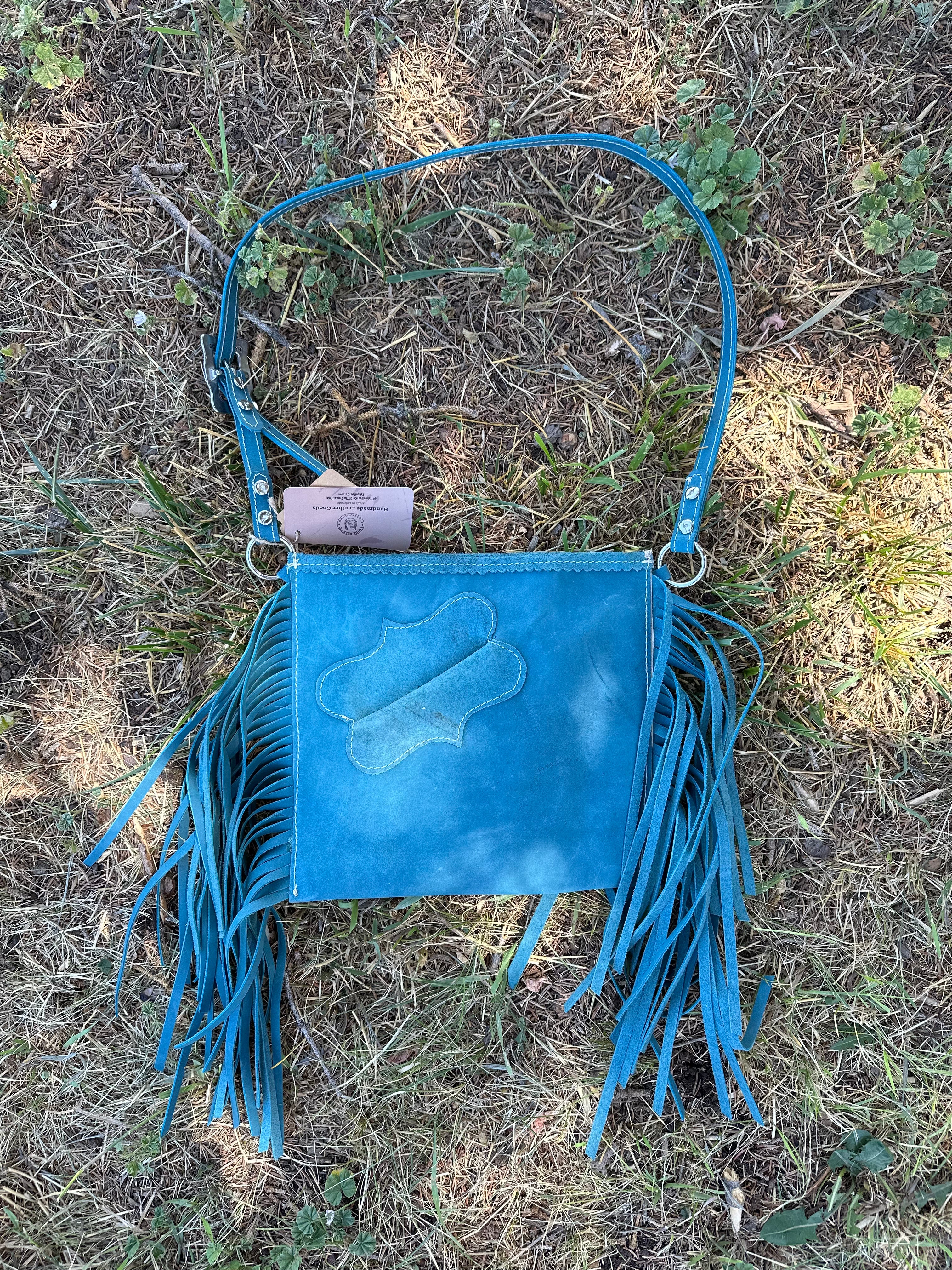 Turquoise Horseshoe Purse